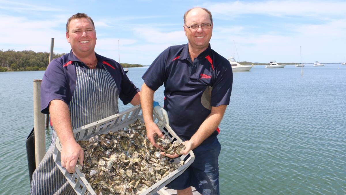 Dean and Stephen Cole from Cole Bros Oysters are regular contributors to the Kaurah Oyster and Timber Festival.