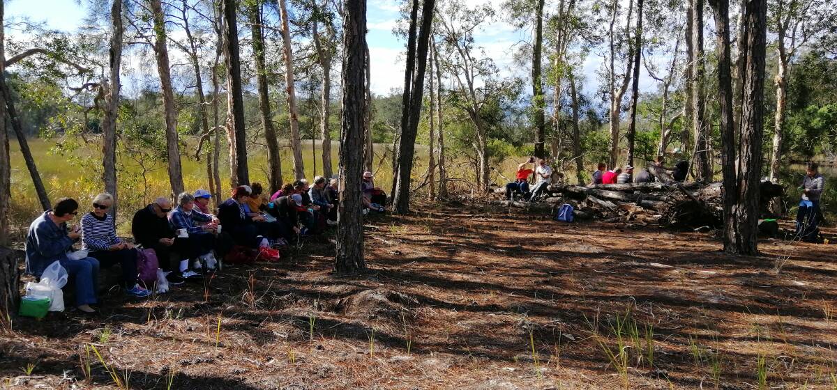 OUT AND ABOUT: Members of Port Stephens Friendship Group enjoying a picnic among the gum trees during an outing along the Myall River.