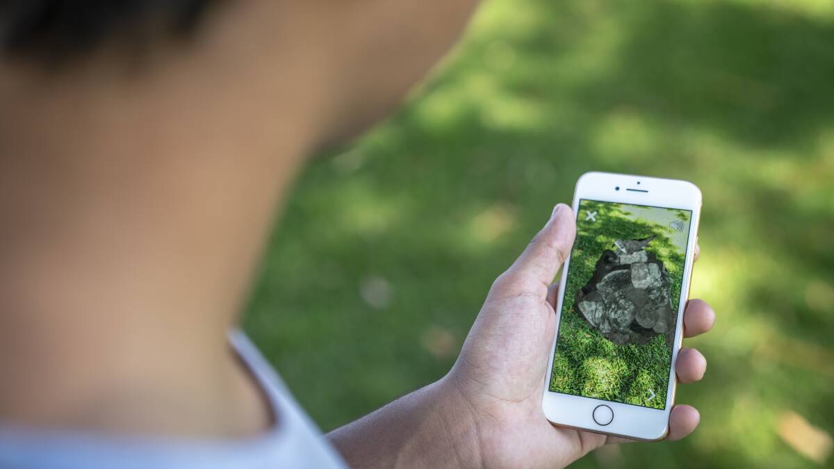 A man in a park looking at the augmented reality Gould's petrel story on the NSW National Parks app. Picture: John Spencer