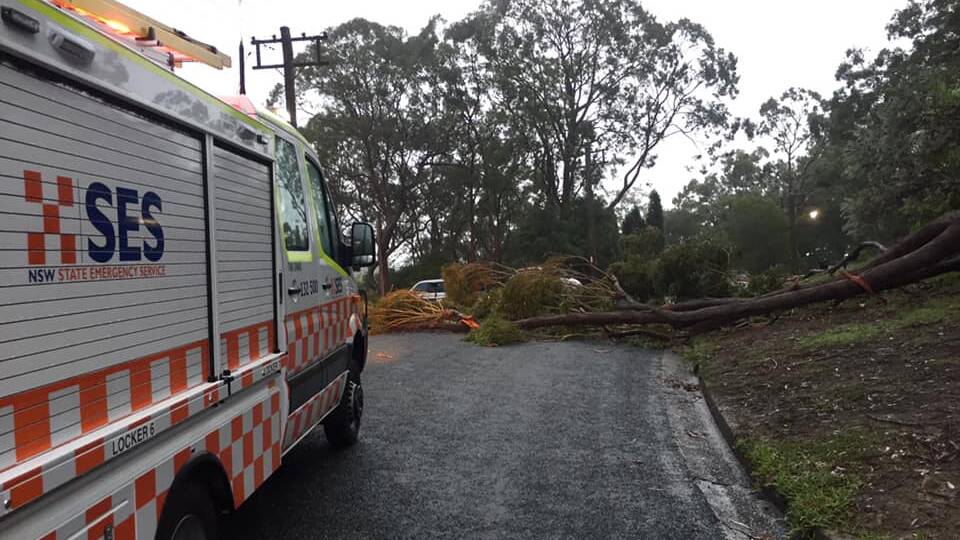 Tomaree SES Unit dealt with two fallen trees in Nelson Bay at the weekend. Picture: Facebook/NSW SES - Tomaree