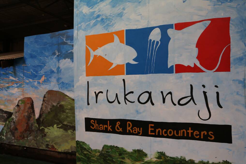 DESPERATE: Lia and Ryan Pereira, owners of Irukandji Shark & Ray Encounters, are appealing to the public for financial support to help feed its 253 animals during the COVID-19 shutdown.