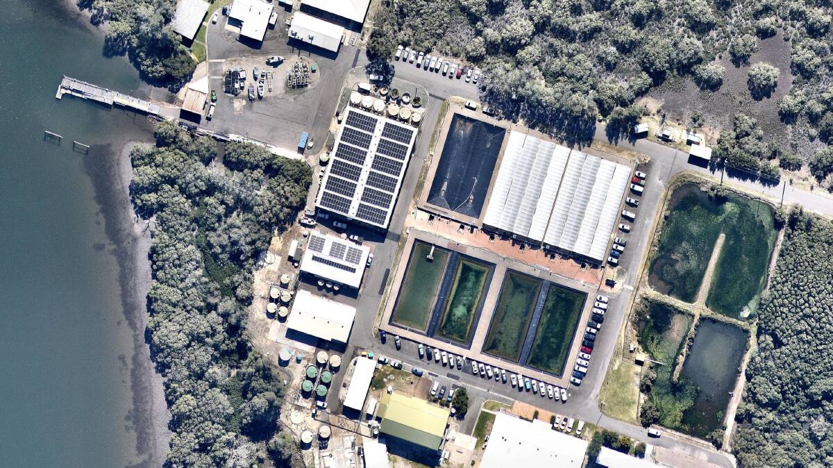 RENEWABLE ENERGY: More than 500 solar panels have been installed on the roof of the Port Stephens Fisheries Institute at Taylors Beach.