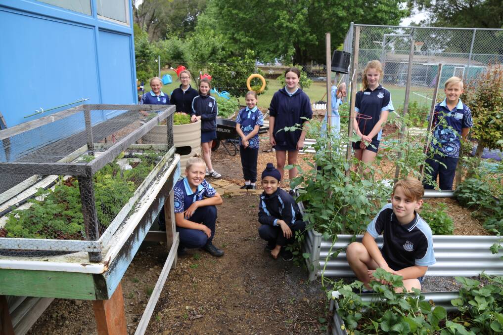 LEARNING: Raymond Terrace Public School Year 6 students with the aquaponics system in the garden. Pictured is (front) Elliott Rowe, Gurkiat Singh, Brock Bailey, (back) Shaylynn Hyde, Ayla Shedden, Latayiah Swain, Makybe Hannon, Georgia Ditton, Kaylee Blundell and Alby Rowe.