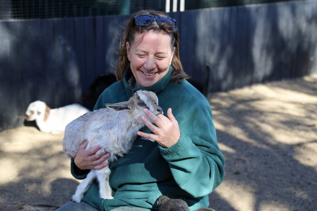 Oakvale's new curator Angela Lambert with some of the Salt Ash wildlife park's animals. Pictures: Ellie-Marie Watts
