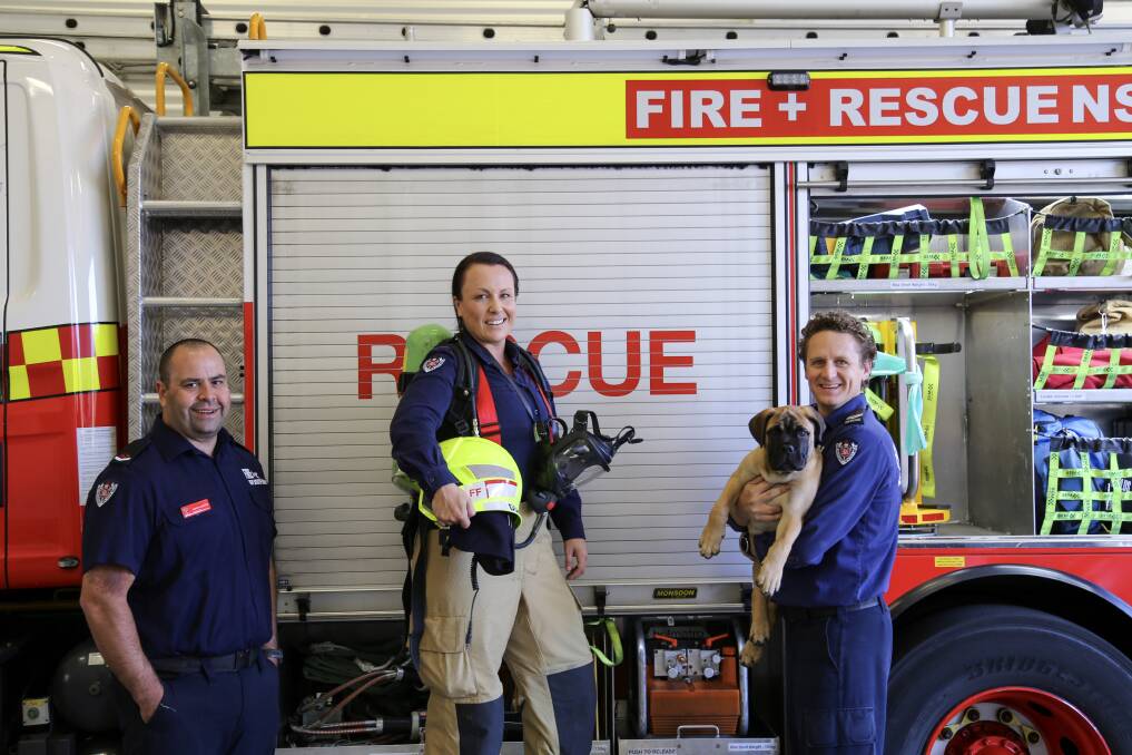 IN IT TOGETHER: Salamander Bay Fire and Rescue firefighters Joe Griffin, Brooke Doran and Troy Kelleher, who is holding Frankie the fire dog. Picture: Ellie-Marie Watts
