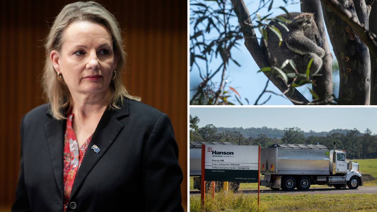 APPROVED: Federal Environment Minister Sussan Ley has approved the expansion of the Brandy Hill rock quarry, which will see 52h of koala land cleared.