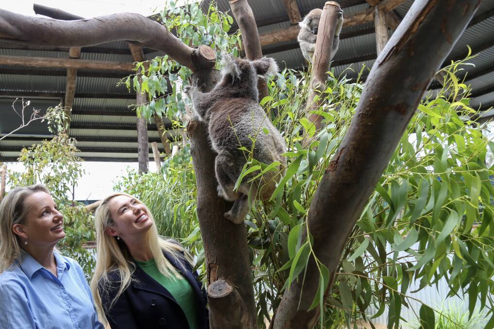 Federal Minister for the Environment Sussan Ley's visit to Oakvale Wildlife Park, Salt Ash. Pictures: Ellie-Marie Watts