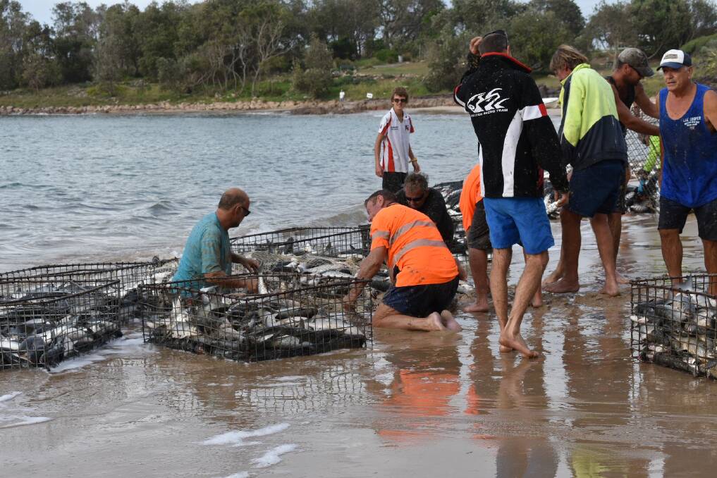 Steve Sessions snapped this a group of fishermen netting mullet at Boat Harbour about 8am on Tuesday.