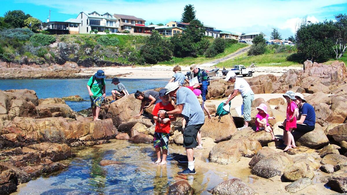 The Port Stephens Summer Coastal Activities program is back. Start with the guided Seagrass Saunter on January 7 and 10.