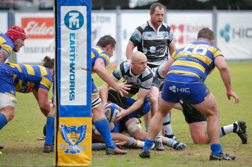 Nelson Bay Gropers v Hamilton on June 19. Picture: Facebook/Nelson Bay Rugby Club