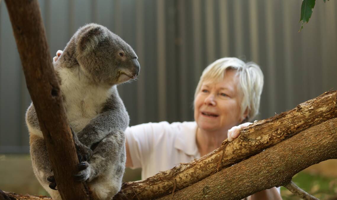 SUPPORT: GM Steve with Marion Land from Port Stephens Koalas which is offering Mother's Day adoptions. Picture: Jonathan Carroll