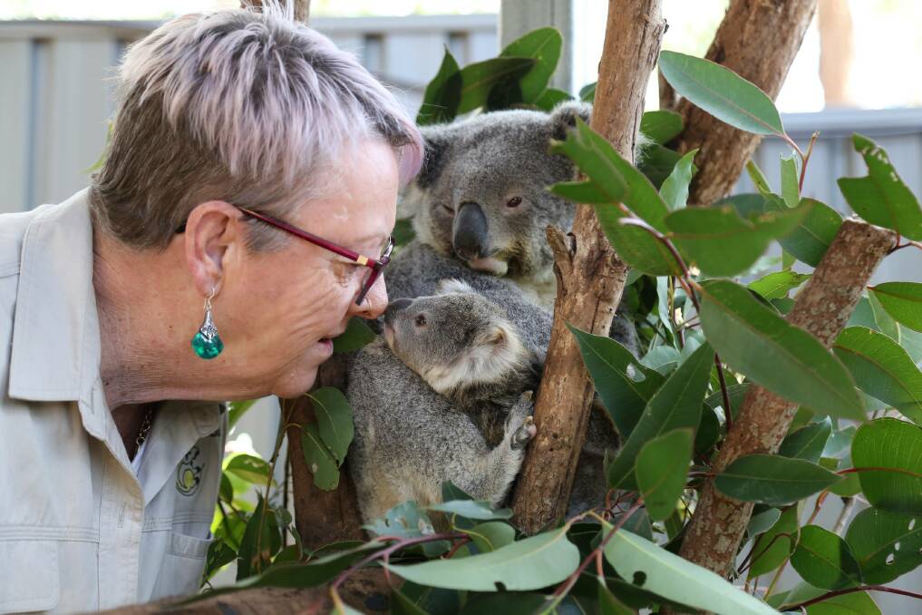 CARING: Sue Swain from Port Stephens Koalas with Eila and joey Patu at the One Mile sanctuary. Picture: Ellie-Marie Watts