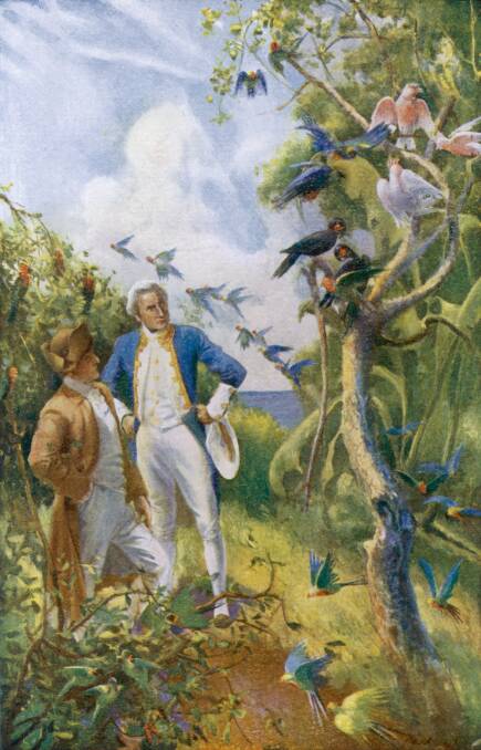 ANNIVERSARY PROJECT: A painting of Joseph Banks and Captain James Cook admiring the flora and fauna of Botany Bay in 1770. 