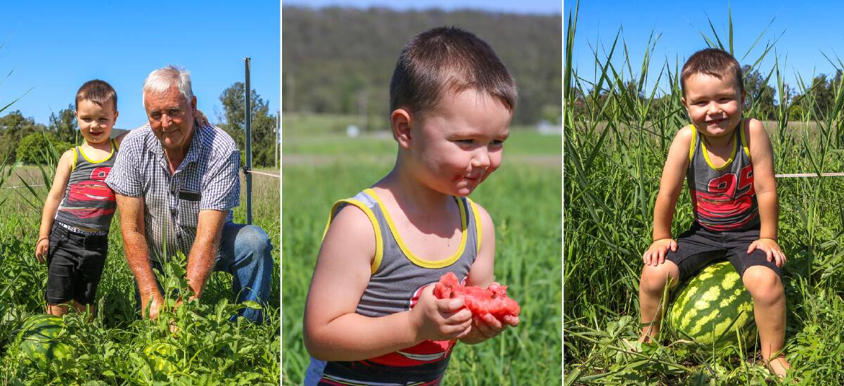 BEST MATES: Archie Slade, 3, with his grandfather Peter Slade and the tasty watermelons the pair have grown together. 