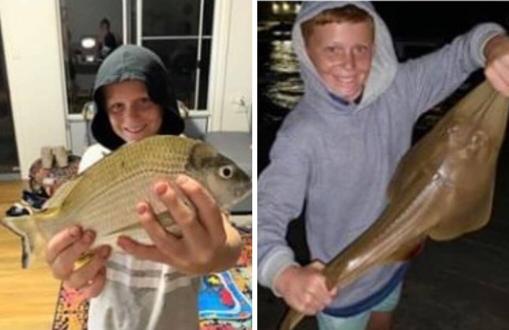 YOUNG ANGLER: Champion Izaac Musialik with a thumping bream and shovel nose shark he caught off the Soldiers Point jetty.
