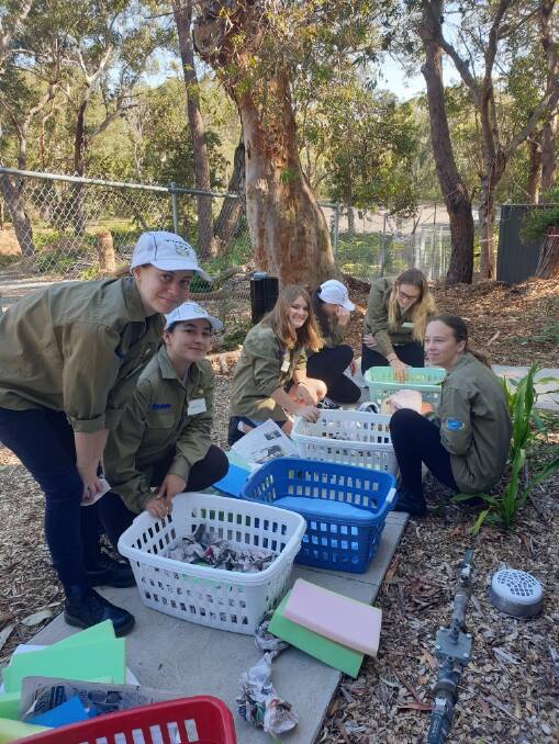 Tomaree High School work experience students preparing baskets for the koalas. Picture: Ron Land/Port Stephens Koalas