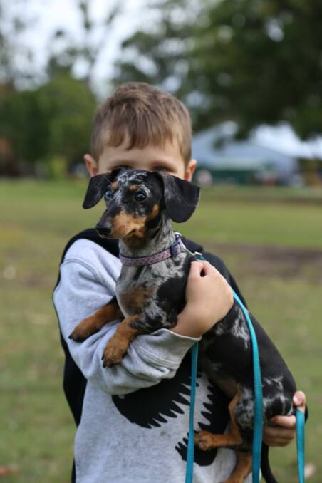 Ryder Quinn, 5, with his puppy Harper at the site where a fenced dog exercise area will be established in Boomerang Park, Raymond Terrace.