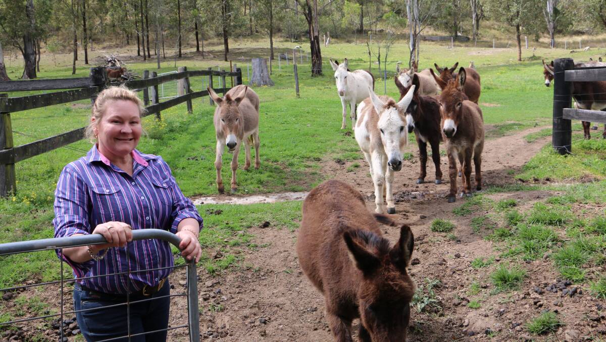 CONTENT: Leanne Atkins, assistant sanctuary manager of the Good Samaritan Donkey Sanctuary, rounding up the donkeys for dinner time. Picture: Ellie-Marie Watts