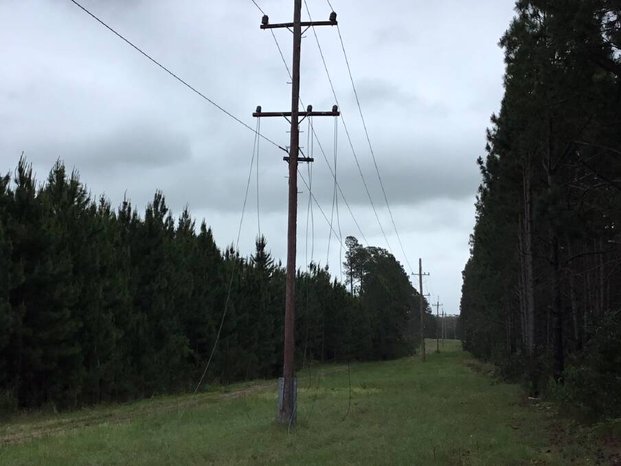 DANGEROUS: About 1 kilometre of copper powerlines were stolen from Tomago on October 24. Picture: Ausgrid 