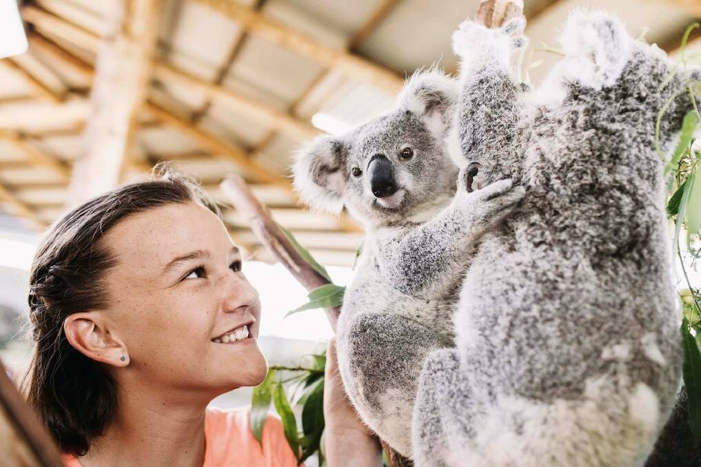 Oakvale Wildlife Park based in Salt Ash is a finalist in the 2019 NSW Tourism Awards. Picture: Supplied 