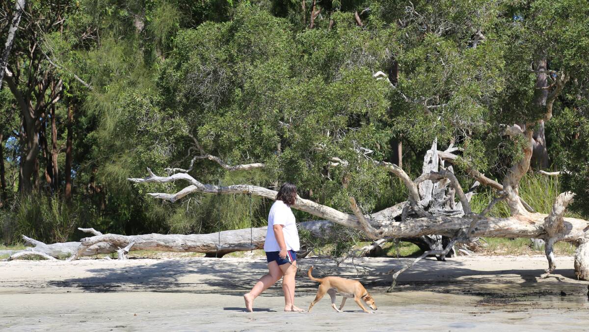 Enjoy a walk along the Tanilba Bay foreshore on January 19 as part of the Port Stephens Summer Coastal Activities program.