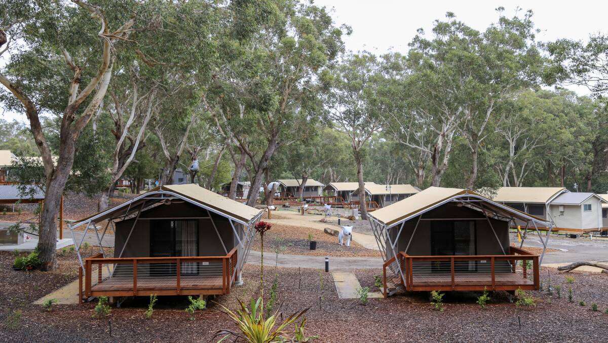 Glamping tents at Port Stephens Koala Sanctuary.