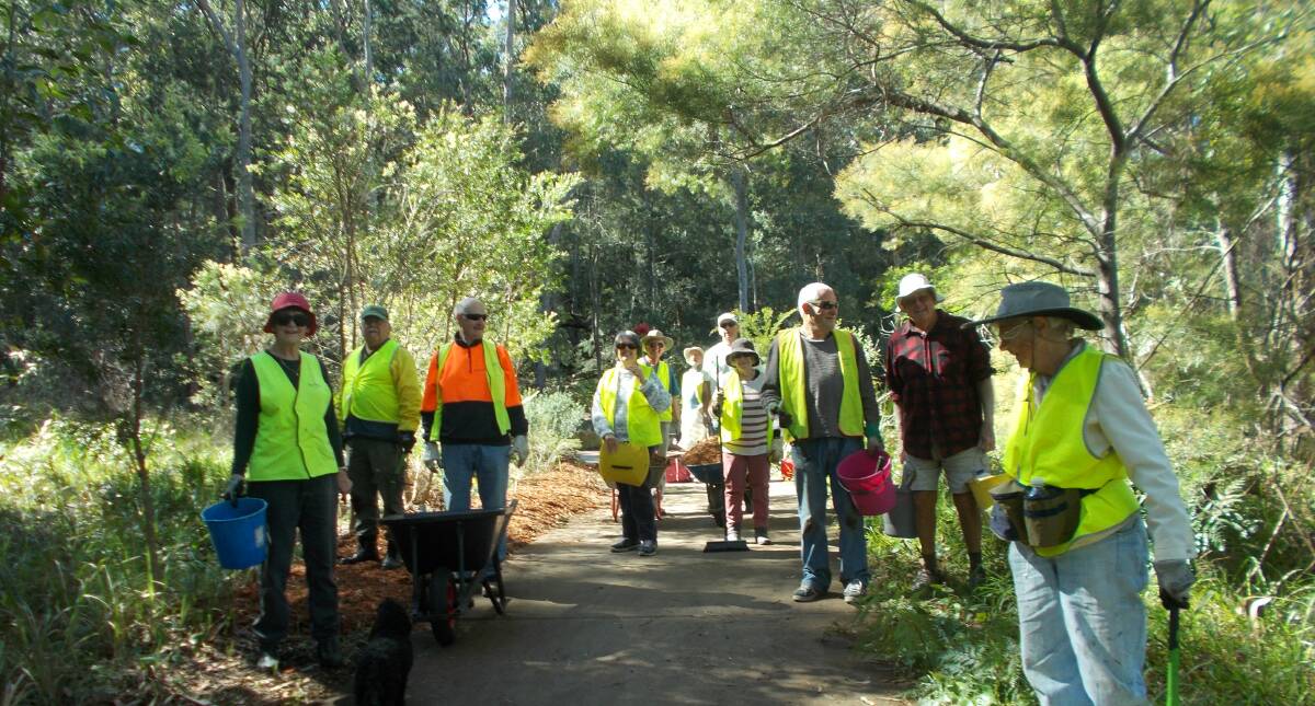 Corlette Reserves and Landcare Group volunteers taking part in a working bee at Lorikeet Reserve on Monday morning. 