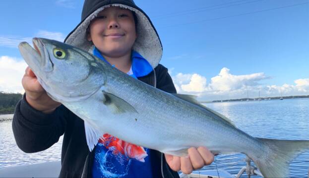 NICE CATCH: Joey Trinkler, 10, with the thumping 2.2kg tailor he caught at Karuah.