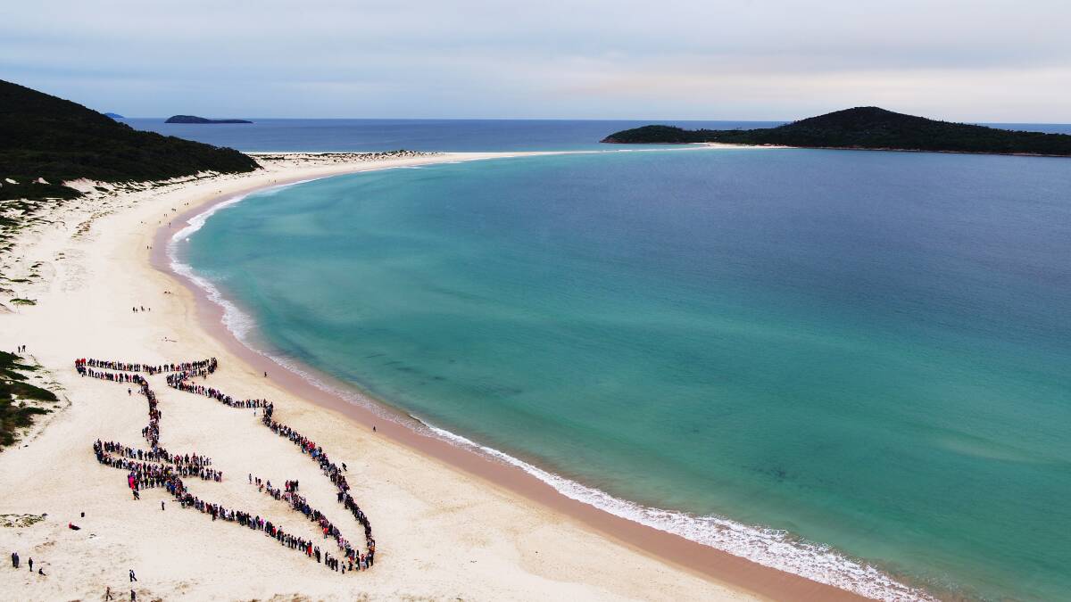The human whale on Fingal Beach in 2017. About 1000 people helped form the outline of the whale that year. In 2019, about 1400 people did. Even more people are needed when the event returns on October 9 with an attempt to create a mother and baby.