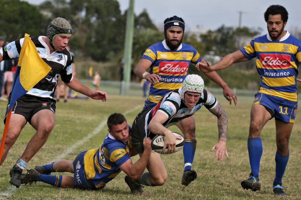 Nelson Bay Gropers v Hamilton Hawks on Saturday, July 6. Hawks won 43-15. Picture: Facebook/Nelson Bay Rugby Club