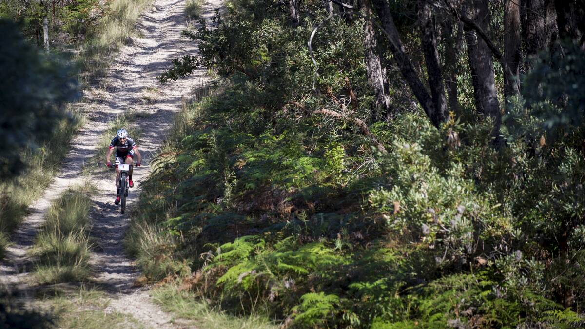 Andy Blair charging his way through Tomaree National Park for the Port to Port MTB in 2014. Picture: Gilbert Romane – GilPro Images