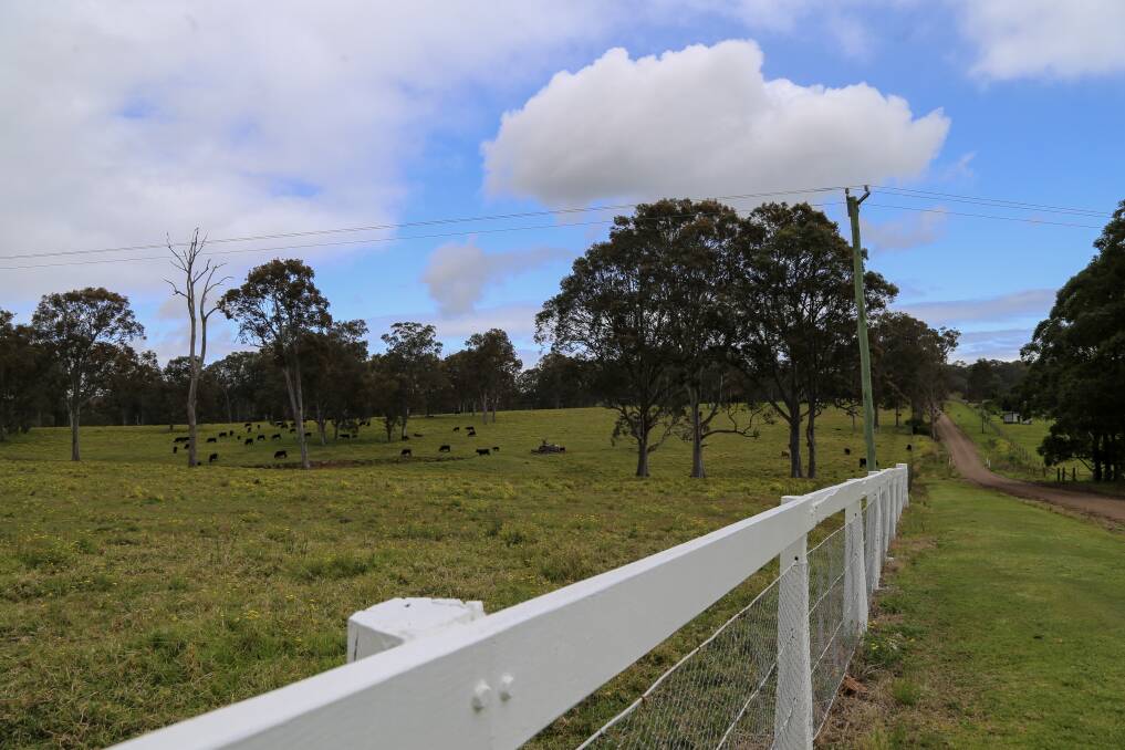 Left of the fence is the land that is earmarked for a 38-lot subdivision. Right of the fence is the property of cattle farmer Peter Manuel.