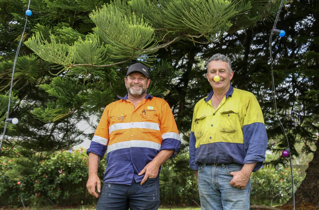 IN THE SPIRIT: Port Stephens Council electrician Jamie Kemp with Raymond Terrace arborist Dwayne Hopper after installing the Christmas lights in the Old Rectory's Norfolk pint tree on Wednesday, November 24. Picture: Ellie-Marie Watts