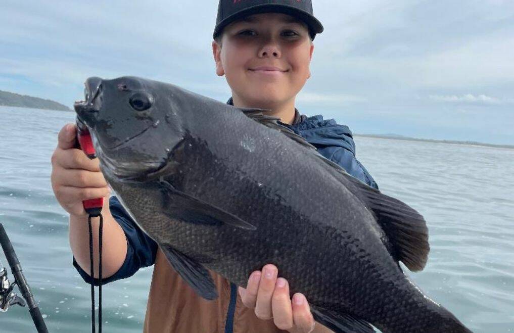 QUALITY CATCH: Karuah champ Joey Trinkler with a thumping drummer. 