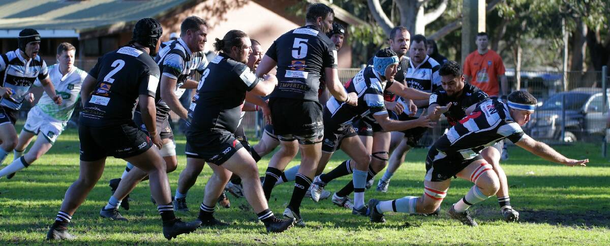 Nelson Bay Gropers slipped to sixth on the ladder after a 53-29 loss to Maitland Blacks on Saturday. Picture: Facebook/Nelson Bay Rugby Club 