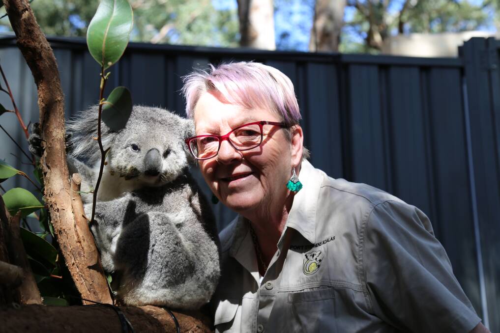 SUPPORT: Port Stephens Koalas carer Sue Swain with rescued koala Marie at the One Mile sanctuary. Picture: Ellie-Marie Watts