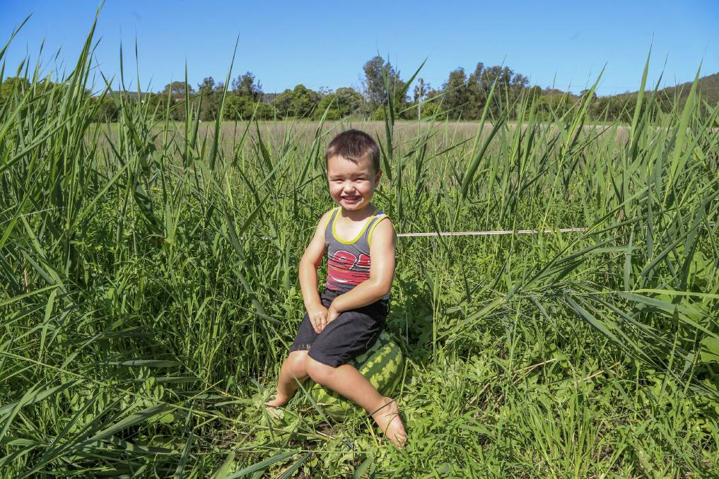 Archie Slade, 3, and his grandfather Peter Slade in the paddock where they grow watermelons in Eagleton. Archie won first place at the Maitland Show earlier in February for the watermelon he entered. Pictures: Ellie-Marie Watts