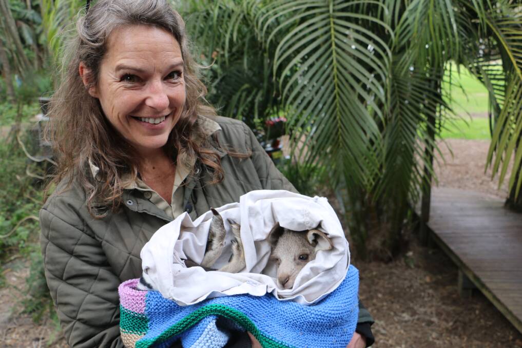 Rescue carer Michelle Wilkinson-Beards, from One Mile, with the latest rescued joey who is yet to be named.
