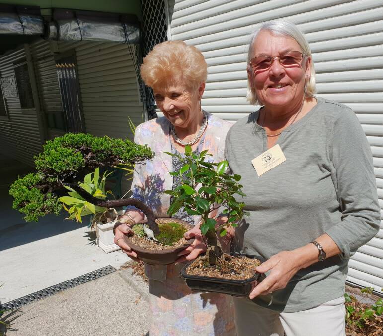 Port Stephens Community Arts Centre bonsai experts Liz and Mel. The Bonsai Show returns to the centre during the October long weekend.