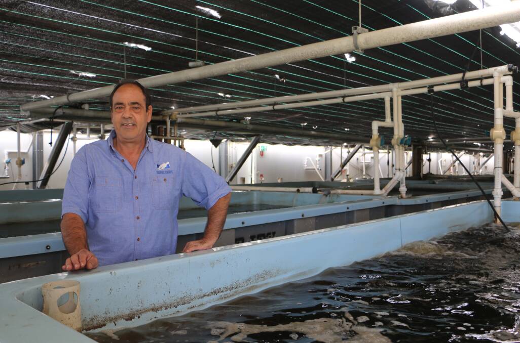 Tailor Made Fish Farm managing director, Nick Arena. Picture: Ellie-Marie Watts