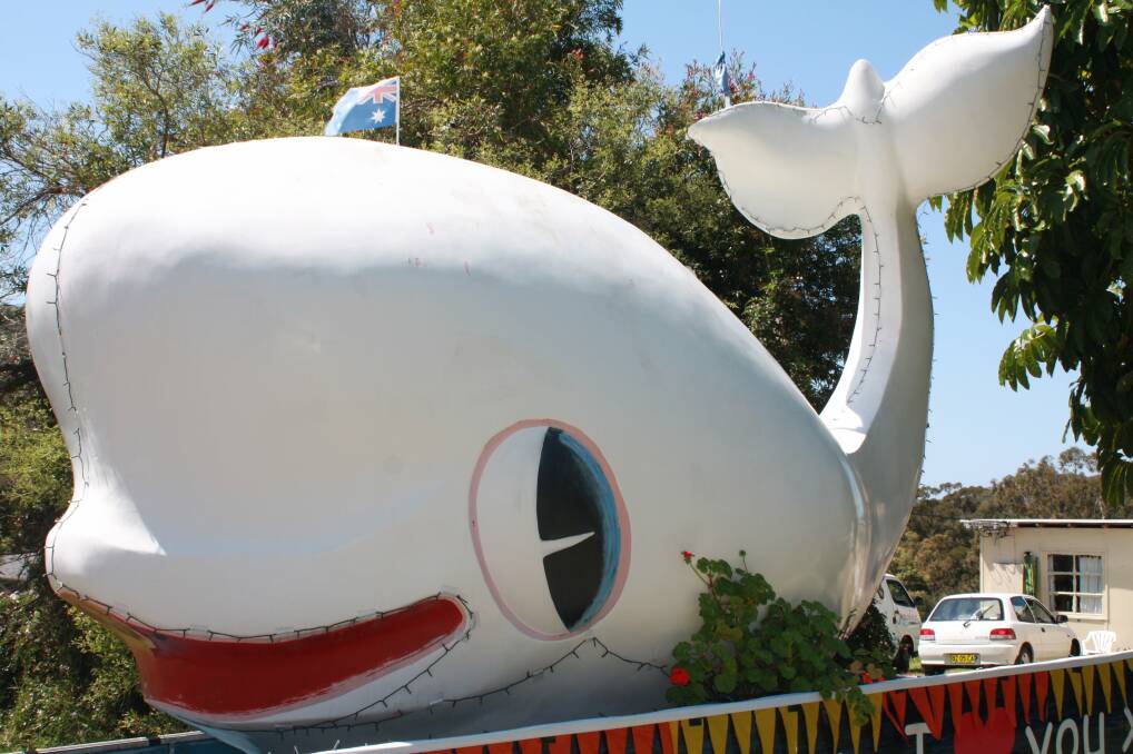 Miggy the white whale, owned by Imagine Cruises.