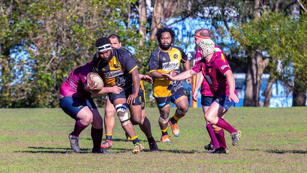 Hunter Rugby divisional minor premiers the Medowie Marauders will play a qualifying final against the Newcastle Griffins at No. 2 Sportsground on Saturday, September 3. Picture from Facebook/Medowie and Districts Rugby Union Club.