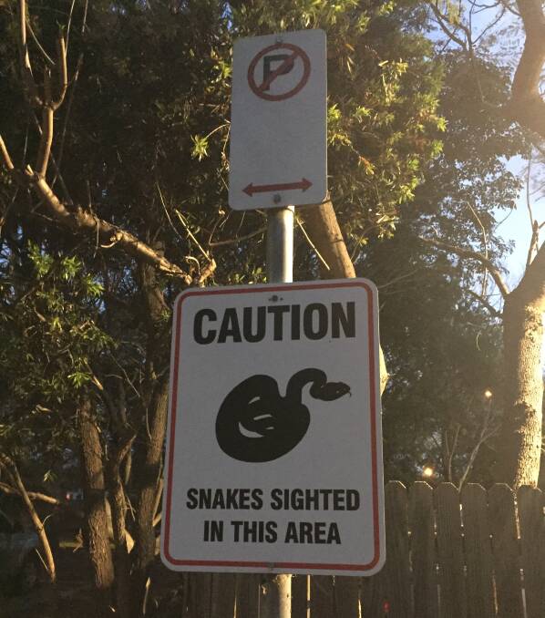 Pet owners beware, snake season is here