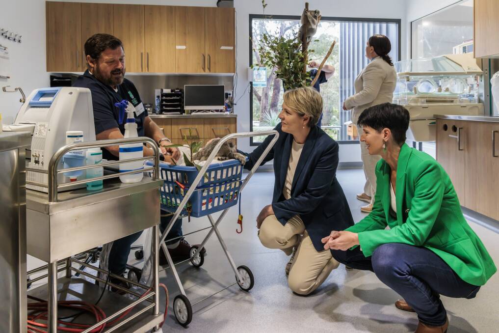 Dr Don Hudson speaking with Tanya Plibersek and Port Stephens MP Kate Washington at the koala hospital during its official opening in August 2022. Behind them is Paterson MP Meryl Swanson speaking with a koala hospital volunteer. Picture: Henk Tobbe