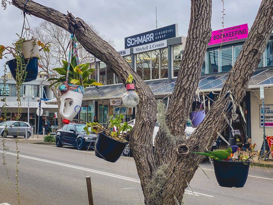 COLOURFUL: A rainbow lorikeet in a tree in Donald Street, Nelson Bay. Port Stephens Council has been granted $700,000 to make further improvements to the town centres of Nelson Bay and Raymond Terrace.