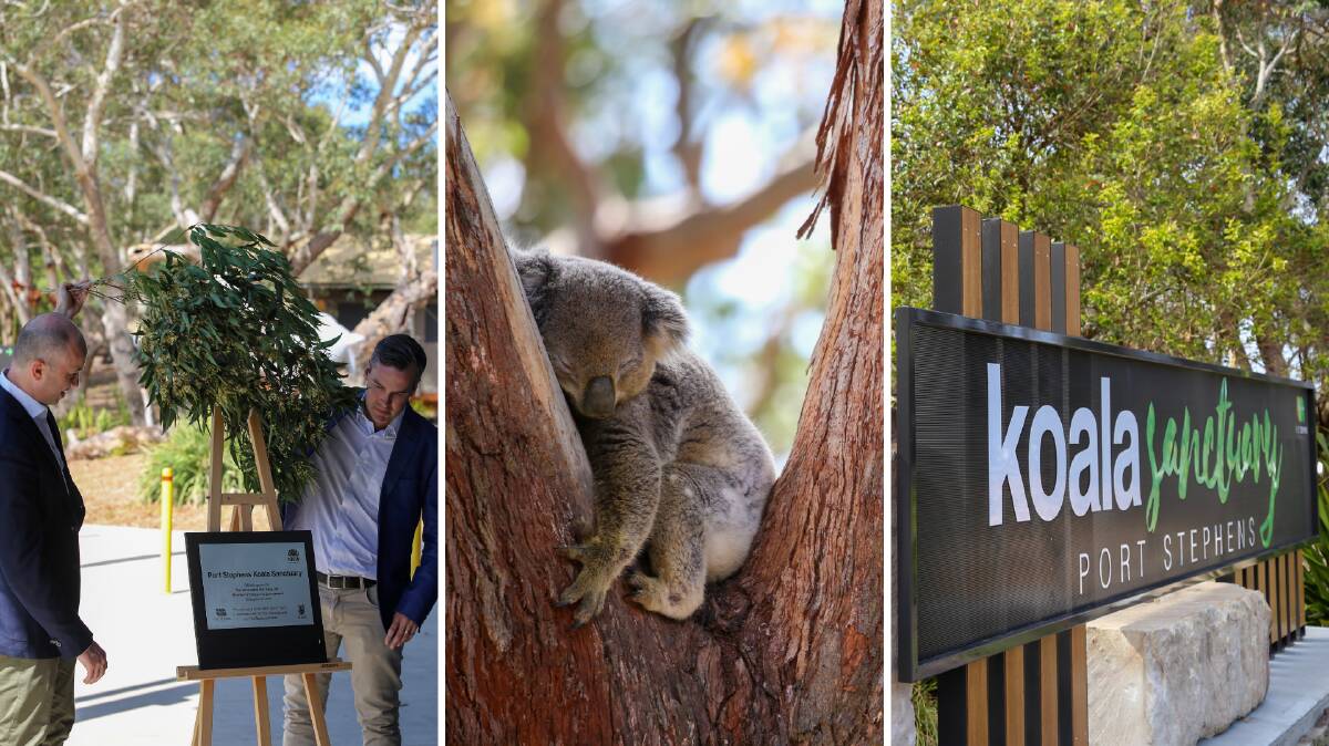 DOORS OPEN: NSW Environment Minister Matt Kean joined Port Stephens Council, Port Stephens Koalas and other dignitaries in One Mile on Friday to declare the Port Stephens Koala Sanctuary officially open. 
