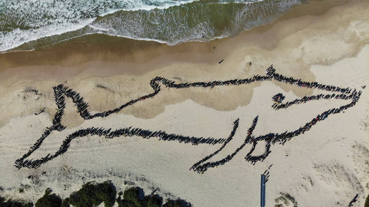About 1600 people helped form the last human whale at Fingal Beach in 2019. The event returns September 25. Picture: Ben Cupitt