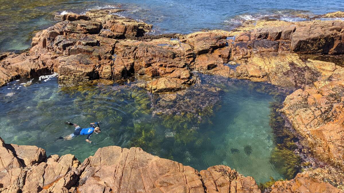 The lesser known rocky shorelines that perhaps present the most interesting and intriguing part of our coastline, says Dr David Harasti. Pictures: Dr David Harasti