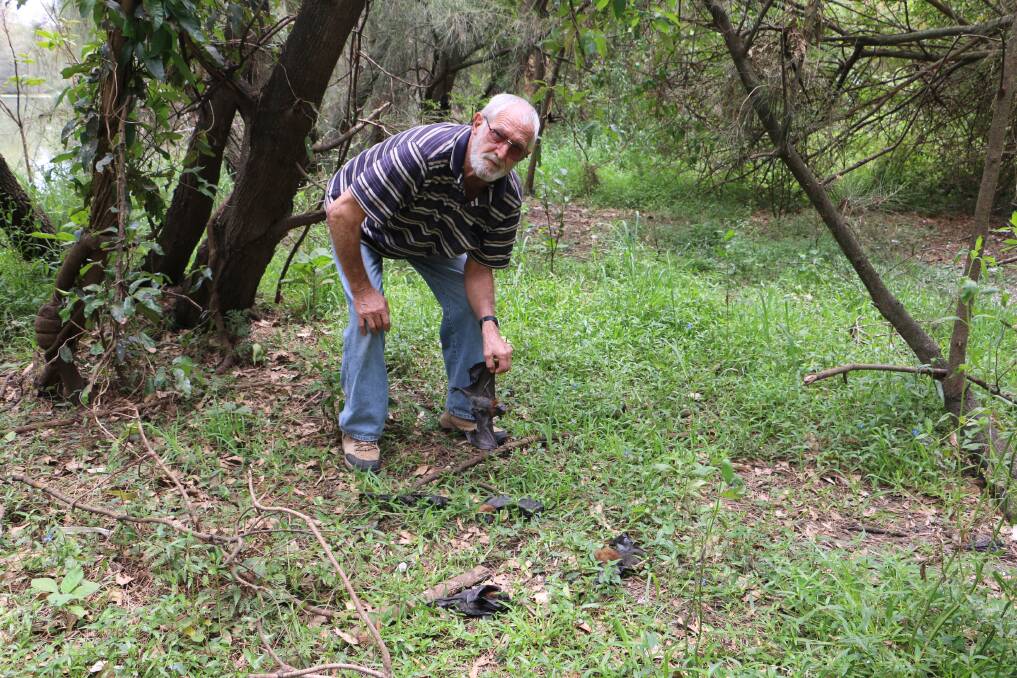DEAD BATS: WINC president Peter Rodd with some of the dead flying foxes found in a Raymond Terrace park on Tuesday and Wednesday.