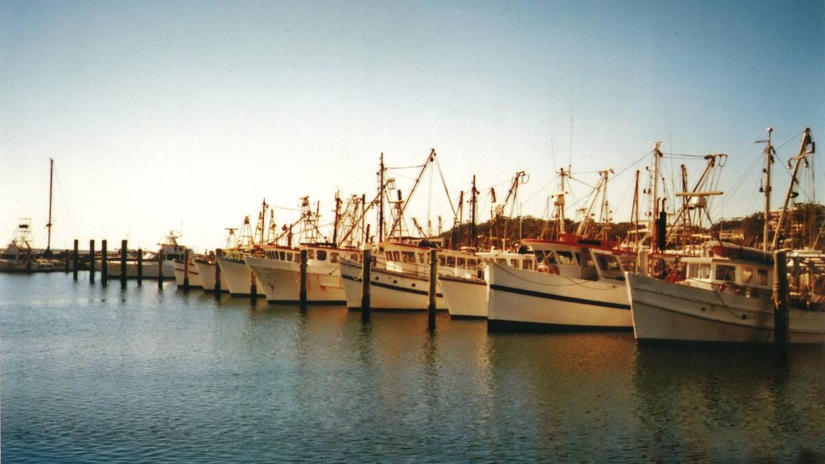 TIED UP: The local Nelson Bay trawler fleet in earlier times. The source of this photo is unknown. If you know who snapped it get in touch with Stinker. 